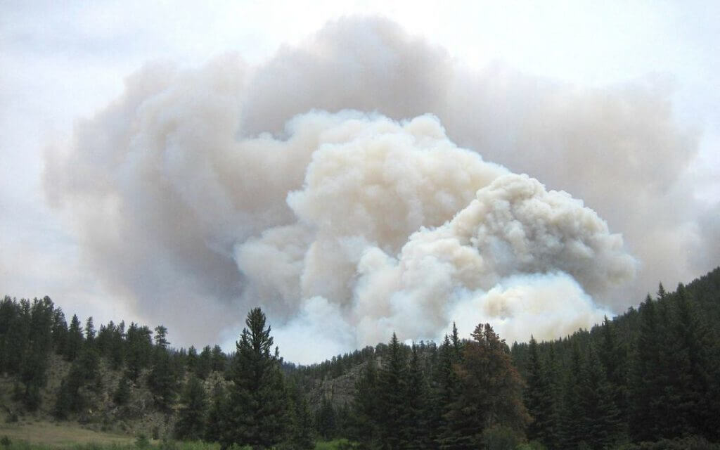 Wild fire protection