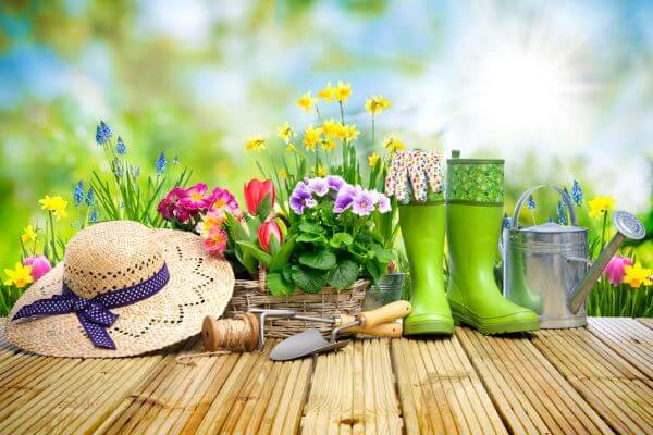 Spring Tips For Your Home and Garden