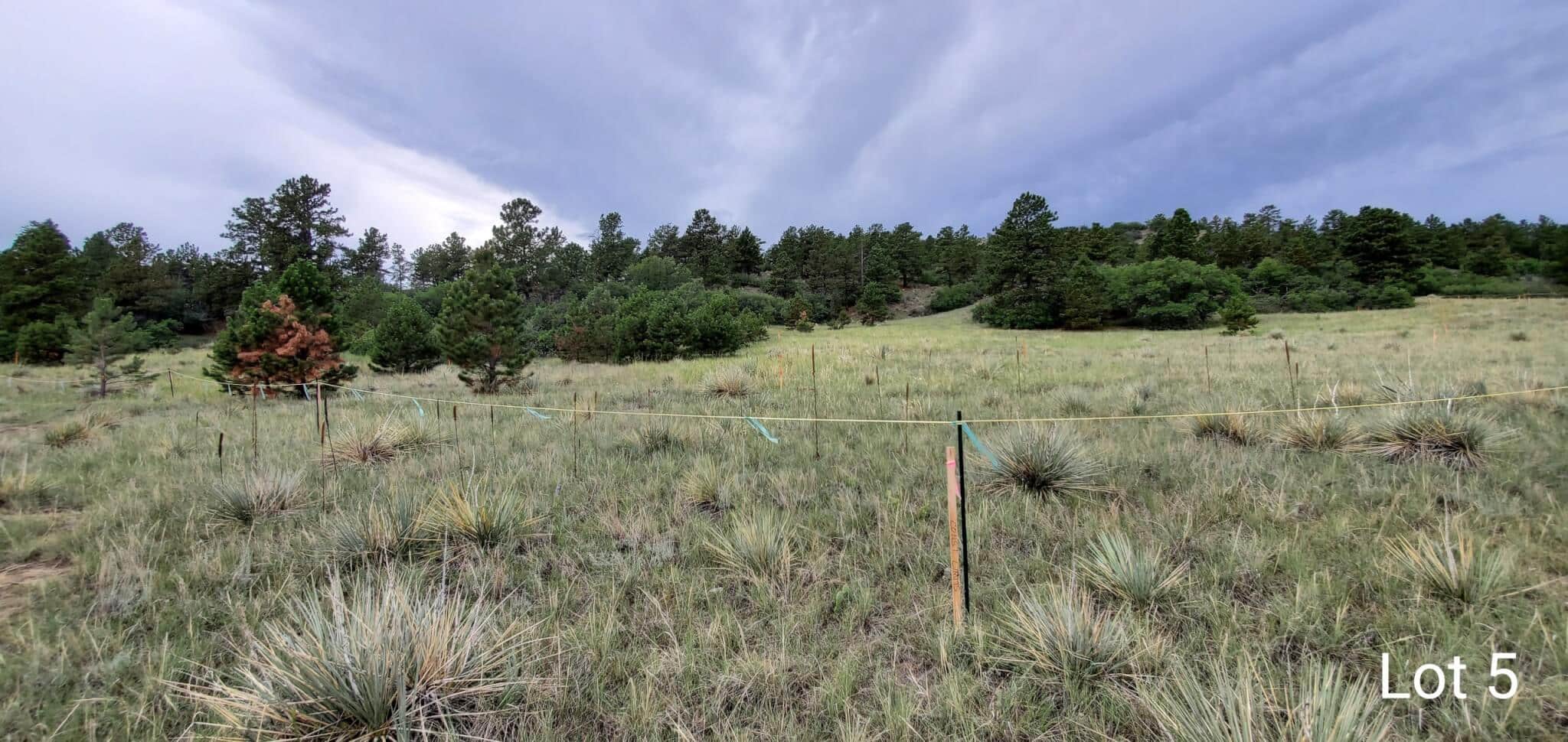 STAGE STATION – HOMESITE 5