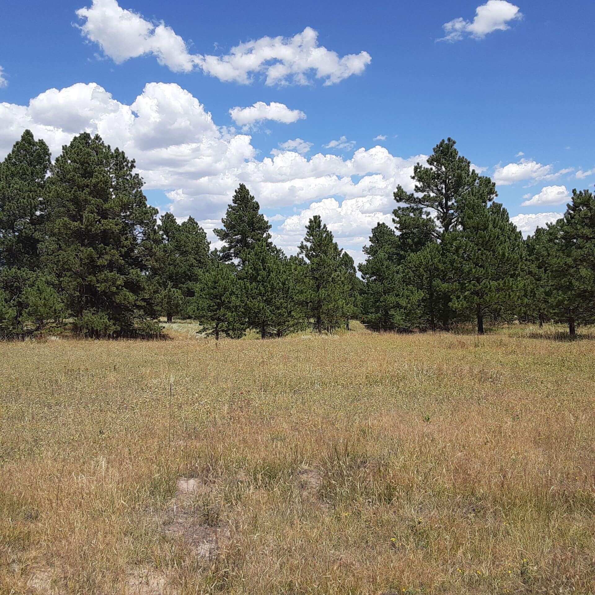 WINSOME – HOMESITE 18, Filing 1